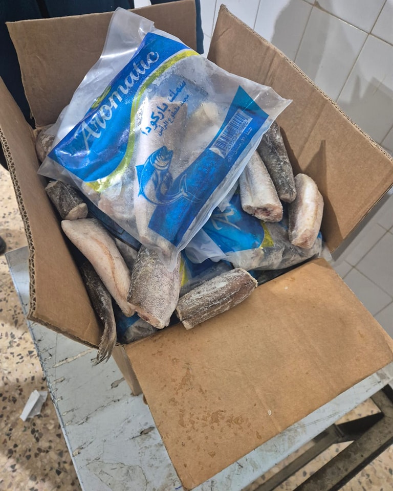 ضبط مستودع مجمدات مخالف في الكرك - صور
