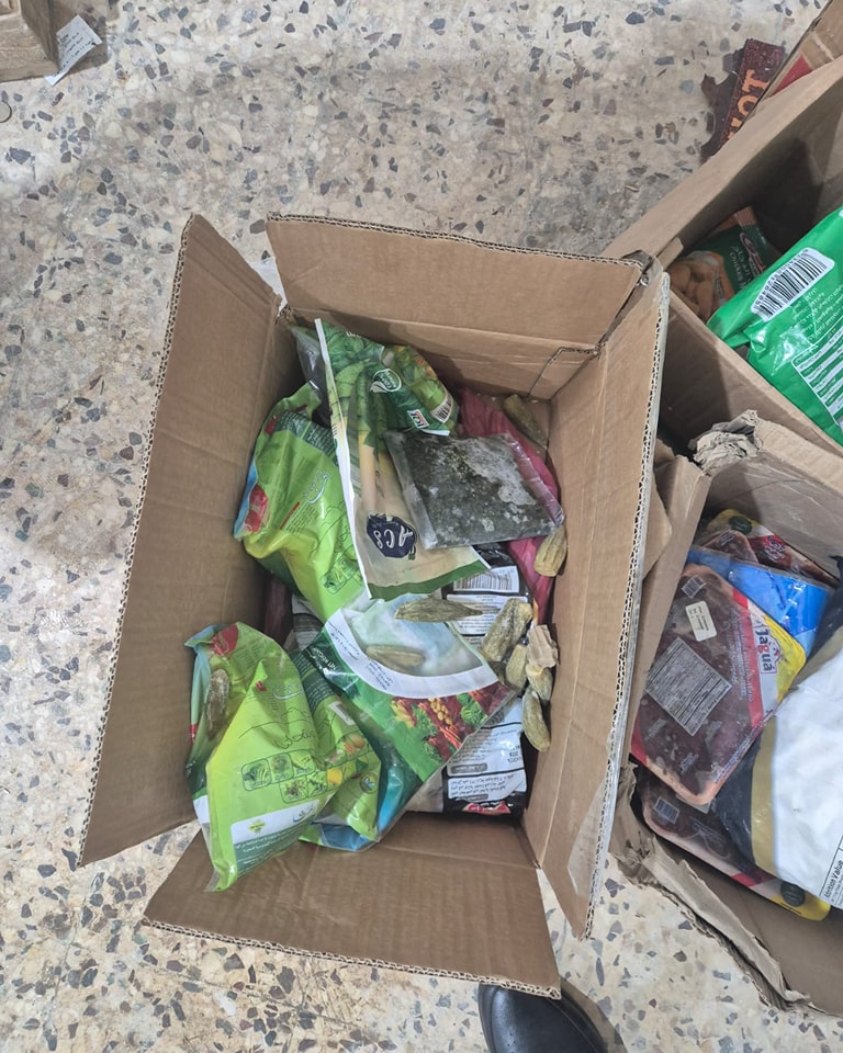 ضبط مستودع مجمدات مخالف في الكرك - صور