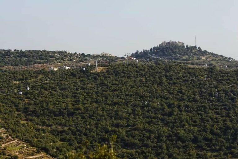 مجلس عجلون خصصنا 295 ألف دينار من موازنة 2025 لقطاع الزراعة