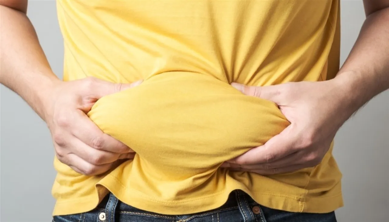 دراسة  دهون البطن مفيدة للدماغ في حدود معينة