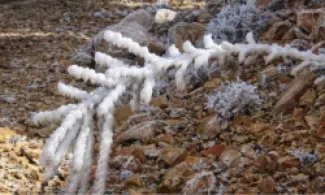 الأردن .. - 5.6 تحت الصفر أقل درجة حرارة مسجلة صباح اليوم