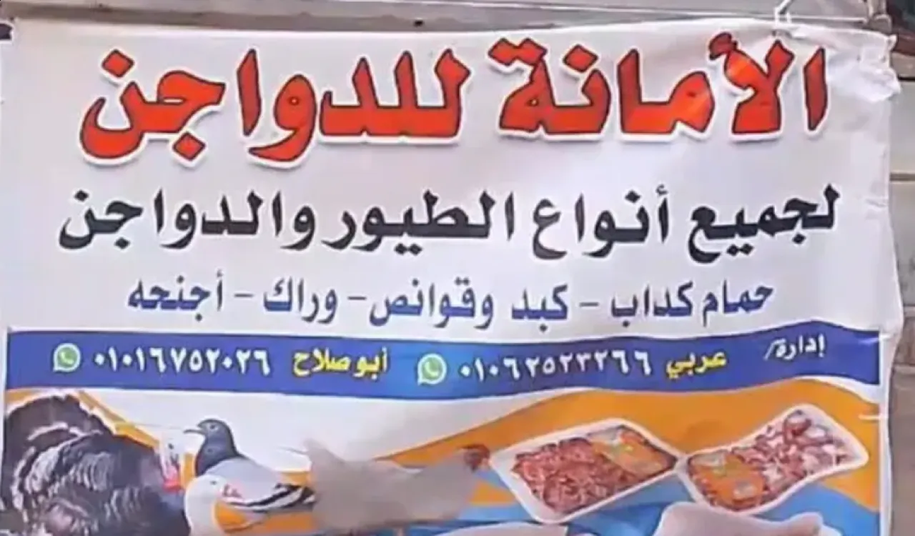 مصر خفض أسعار الدواجن فأرداه قتيلاً