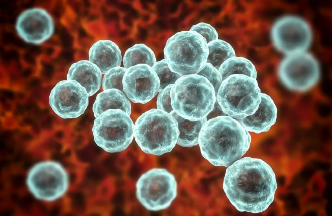 اكتشاف مفاجئ الرجل قد يكون المصدر الخفي لعدوى نسائية شائعة