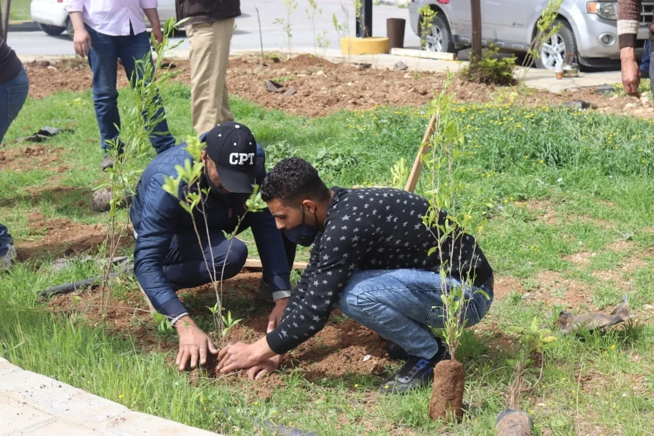 اتفاقية لتحريج الأراضي الجرداء ضمن حدود امانة عمان