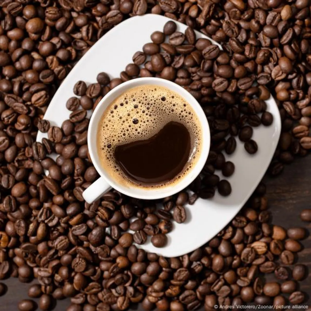 أزمة أسعار القهوة بين التغير المناخي والطلب المتزايد