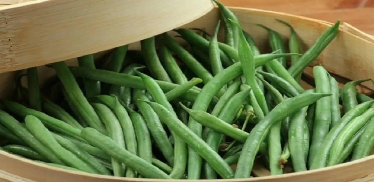 ما هي فوائد اللوبيا للرجال