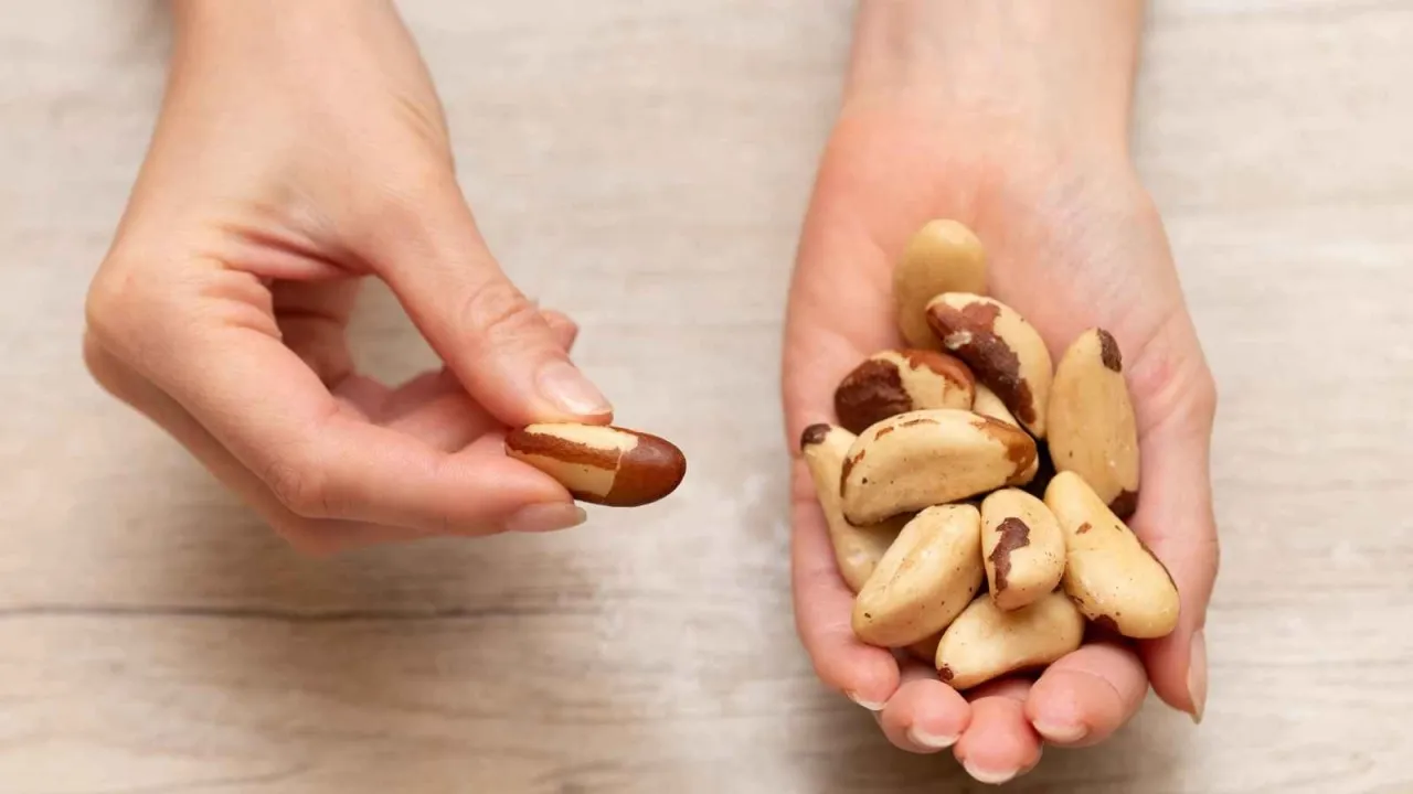 أسعار وفوائد الجوز البرازيلي في الأردن