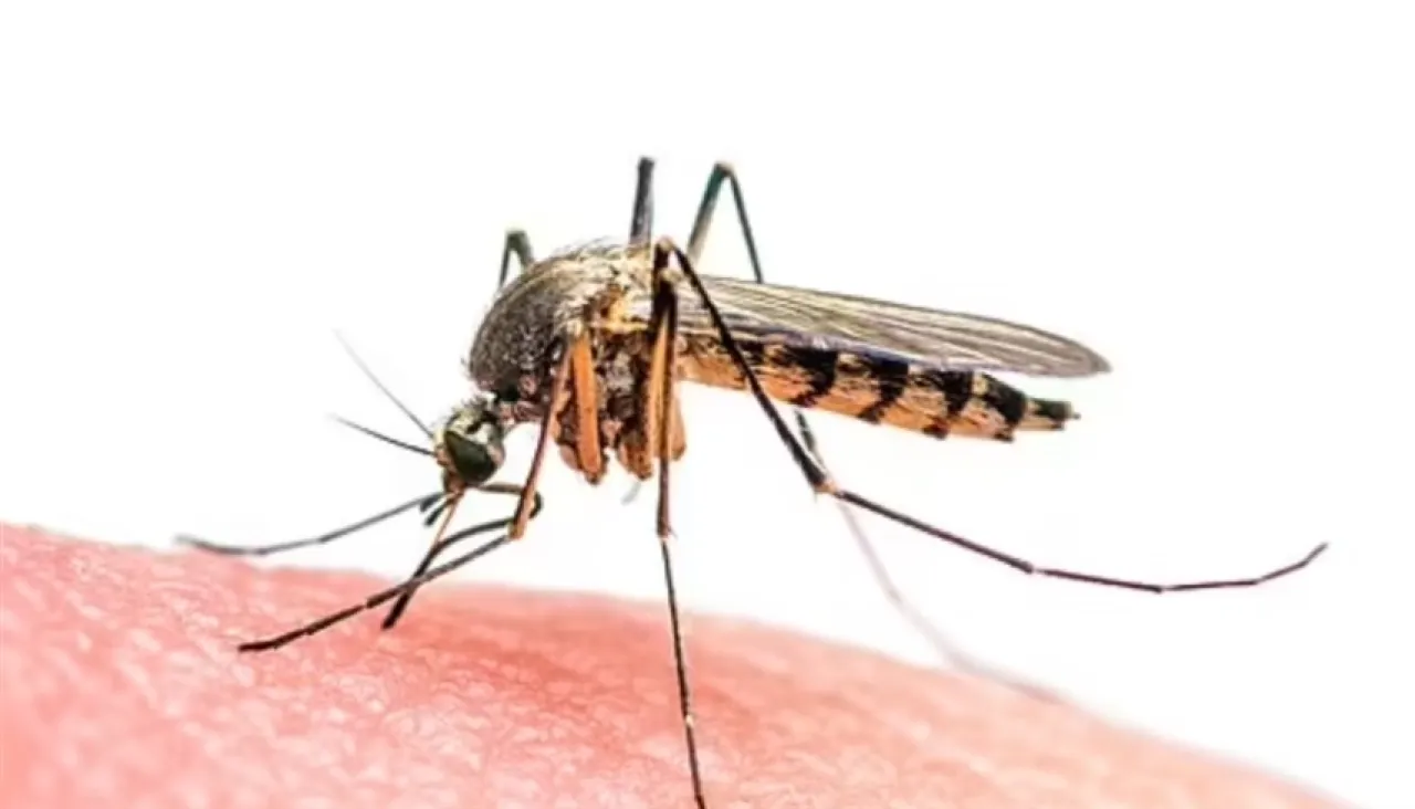 تحذير من فيروس كاسر العظام القاتل