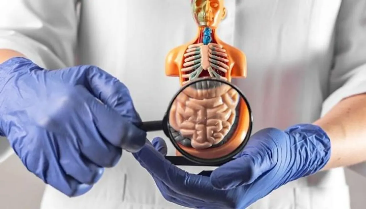 سرطان يُحاكي كل شيء لماذا يصعب تشخيص أورام الغدد الصماء العصبية