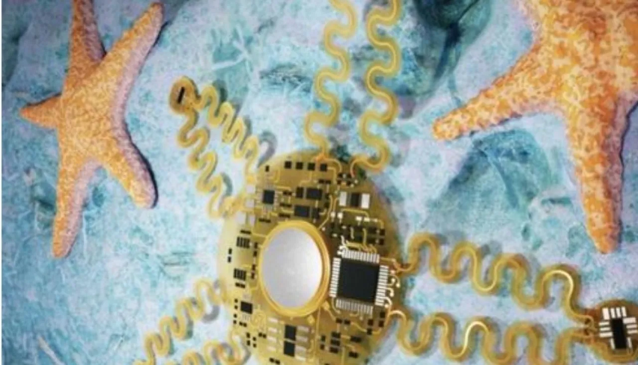 جهاز قابل للارتداء يكشف مشاكل القلب بدقة تتجاوز 90