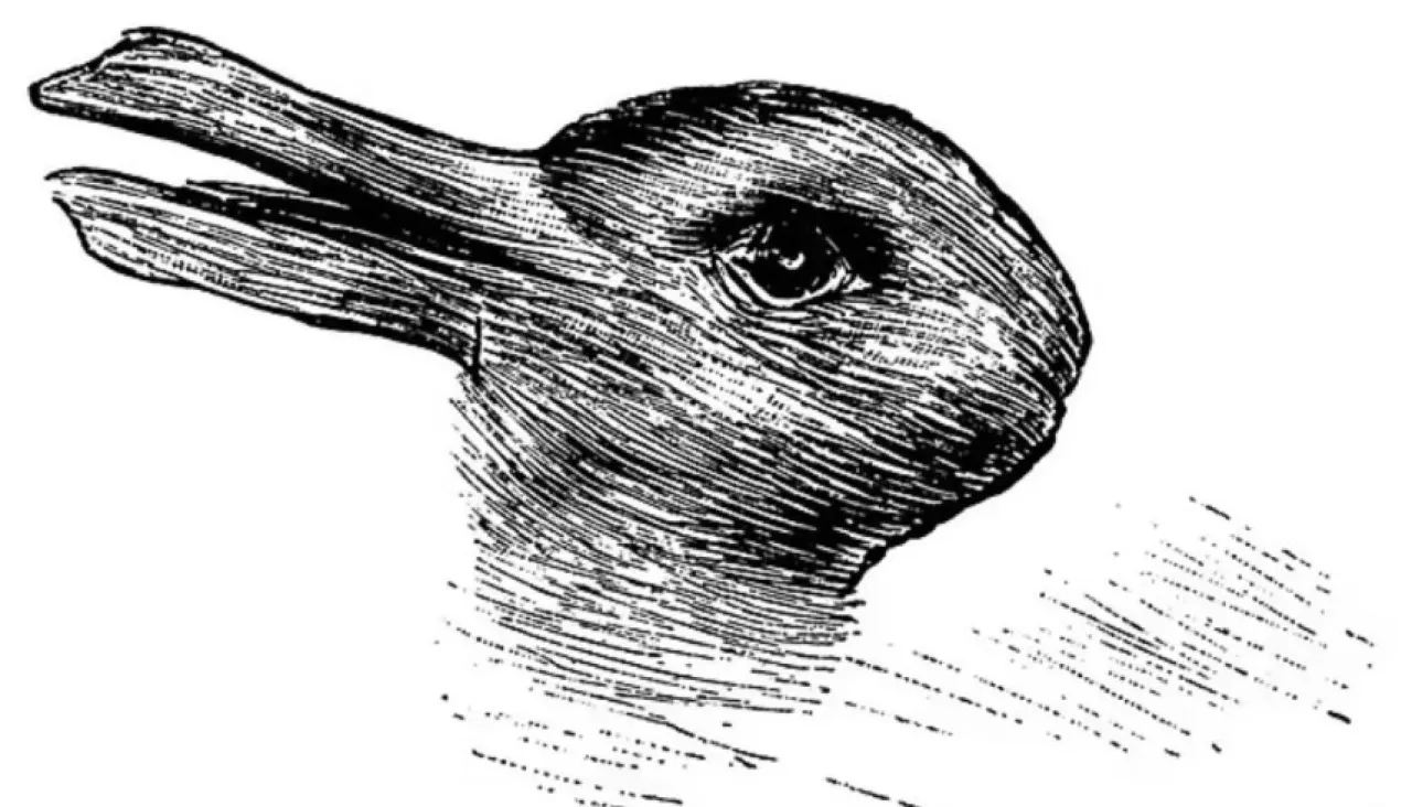 هل ترى أرنباً أم بطة خدعة غريبة تكشف حالتك النفسية