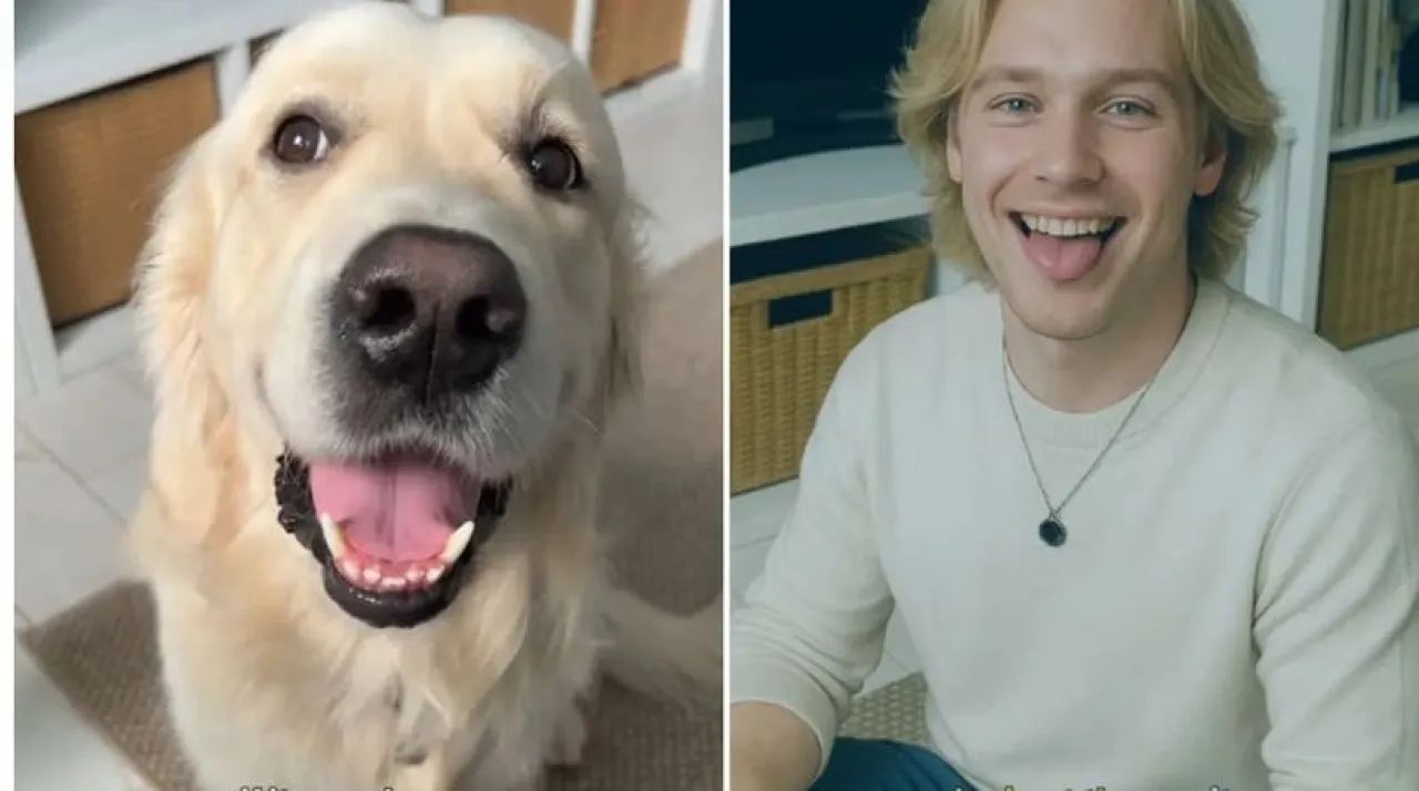 أحدث صيحات صور شات جي بي تي تحويل الحيوانات الأليفة لأشخاص