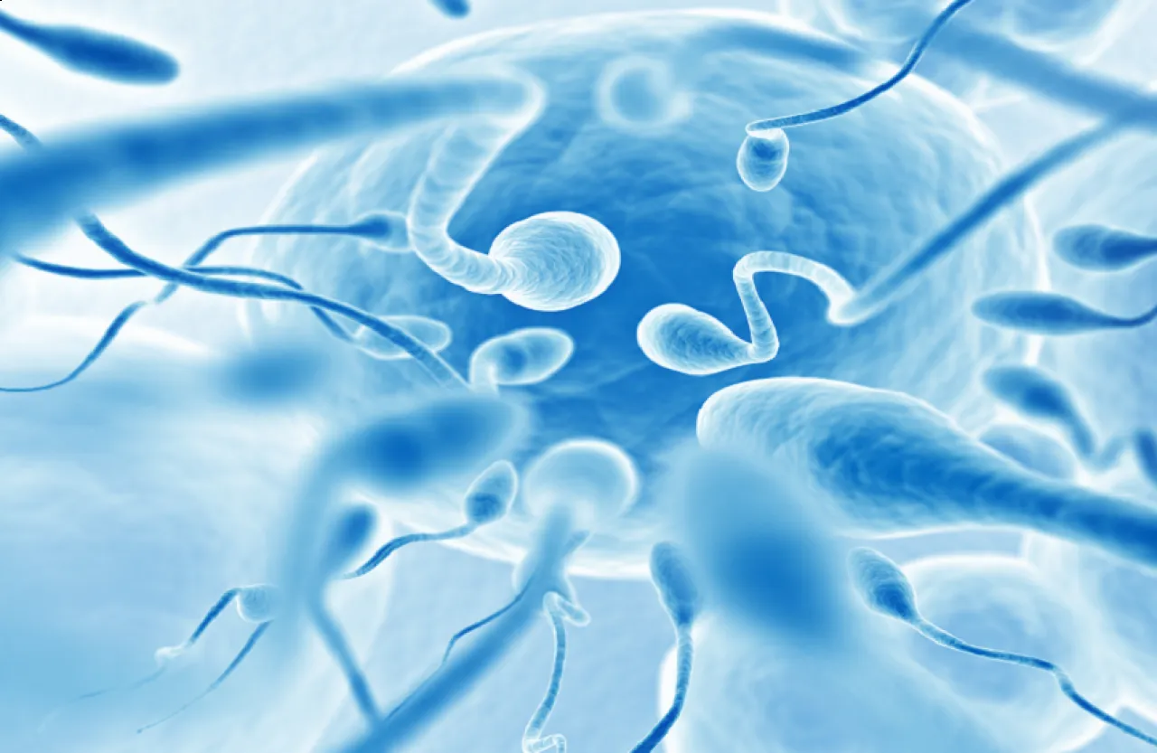 بشرى سارة للرجال تقنية جديدة قد تحل مشكلة العقم نهائيا