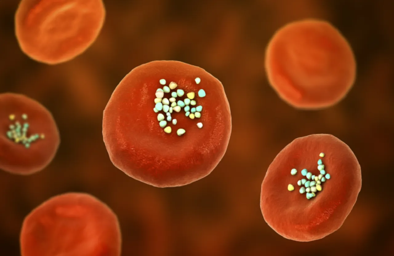 أرقام صادمة كم من البلاستيك الدقيق المسرطن يتسلل إلى جسدك دون أن تدري