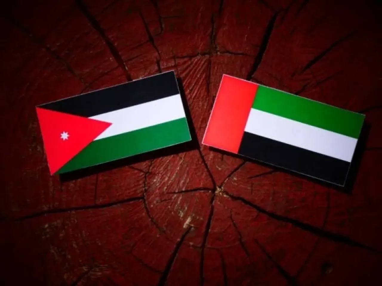 وظائف في الإمارات لمدرسين أردنيين من حملة البكالوريوس والماجستير والدكتوراه