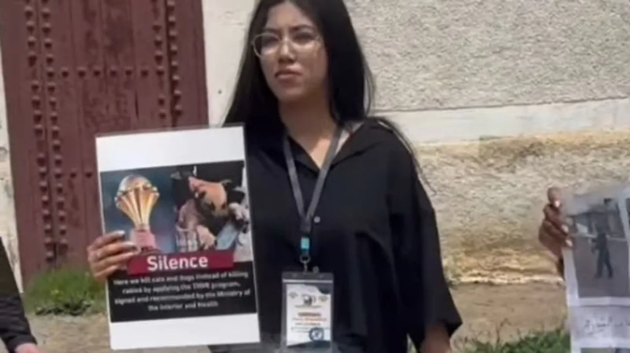 المغرب مشاهير يطلقون حملة لوقف قتل الكلاب السائبة