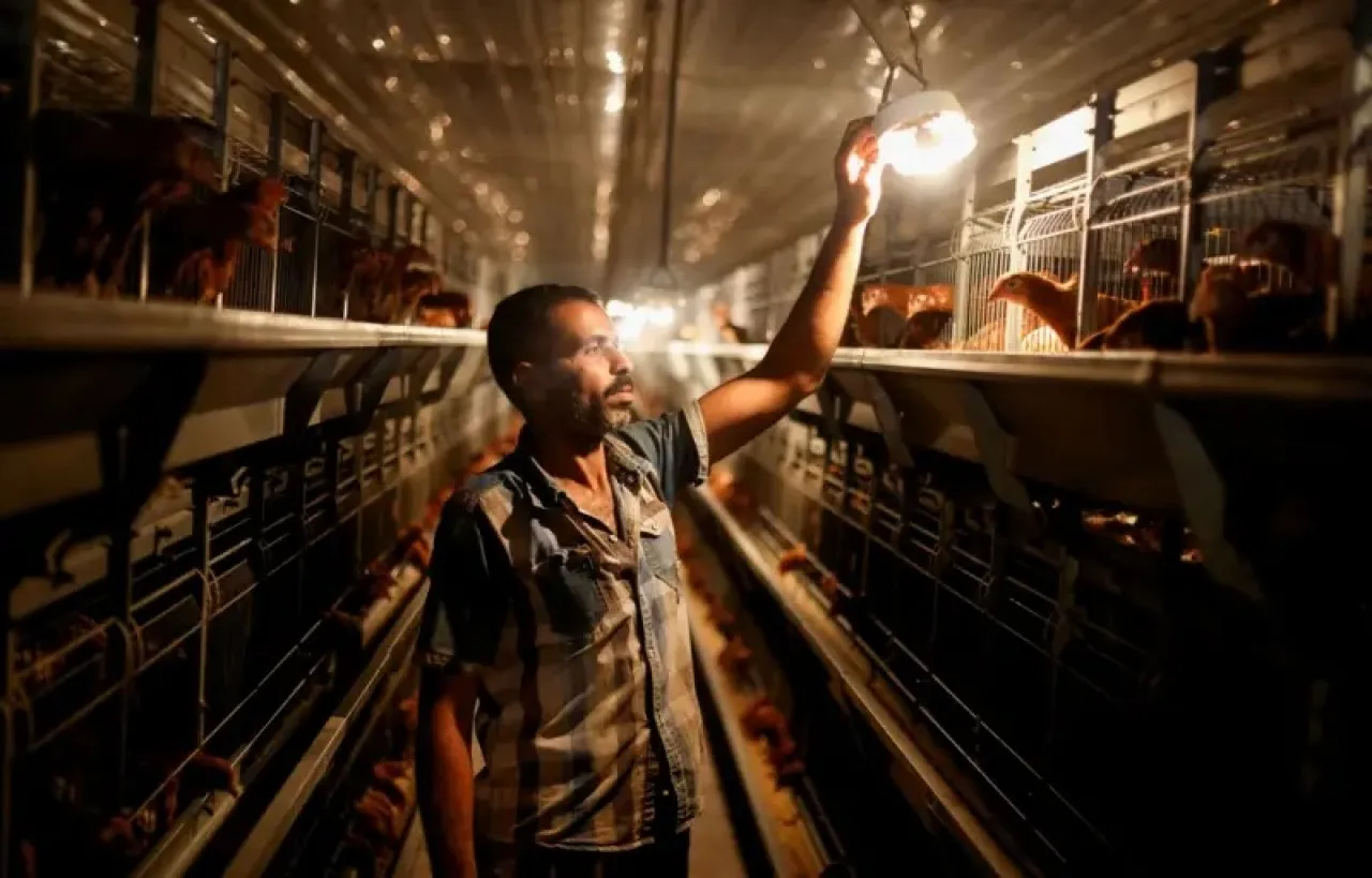 لصالح العمال أم أصحاب الأعمال  جدل حول قانون العمل الجديد في مصر