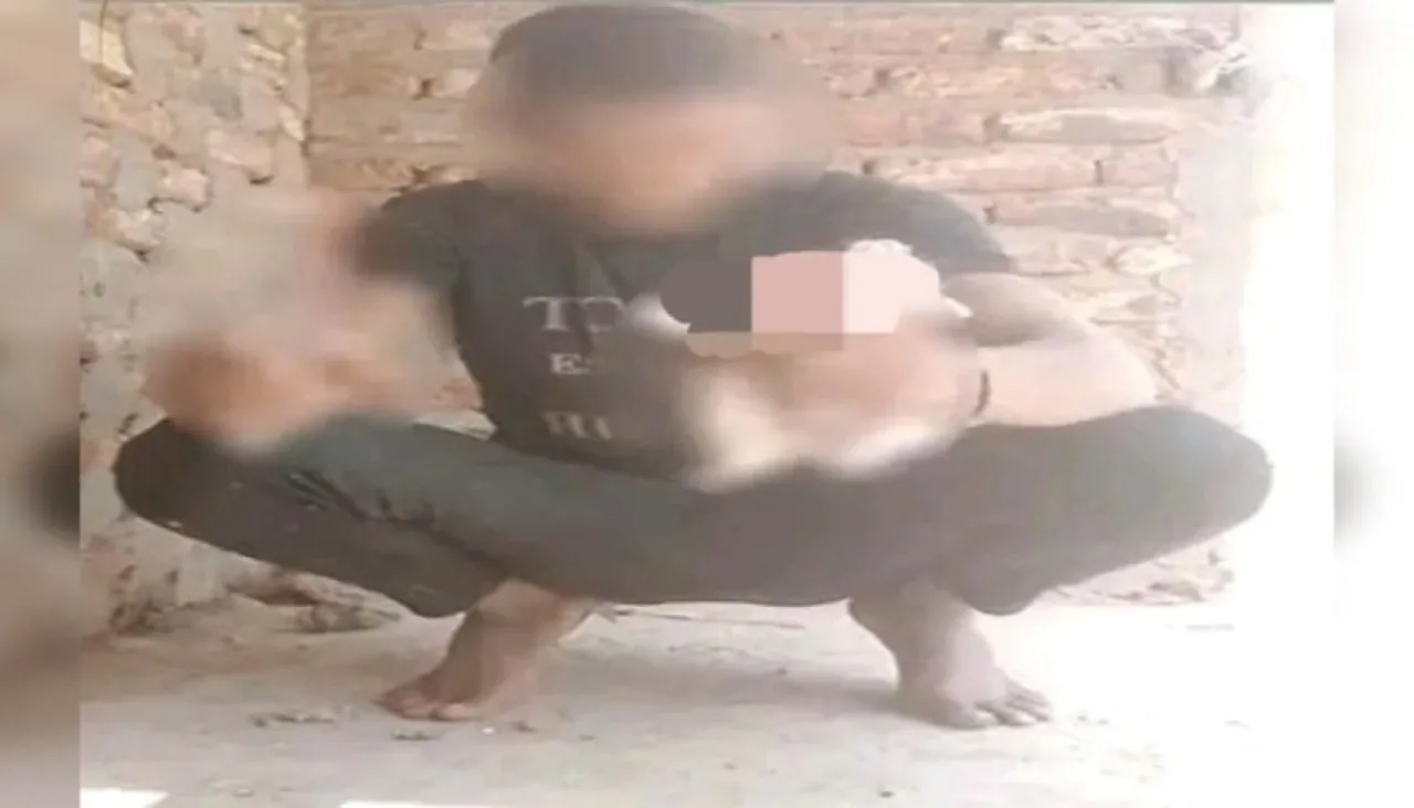 شاب يذبح قطة في بث مباشر والأمن المصري يتدخل