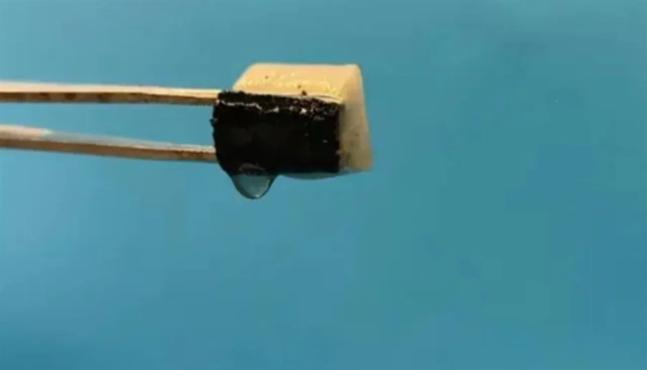 حل ذكي لأزمة المياه إسفنجة صغيرة تسحب الماء من الهواء بكفاءة 94