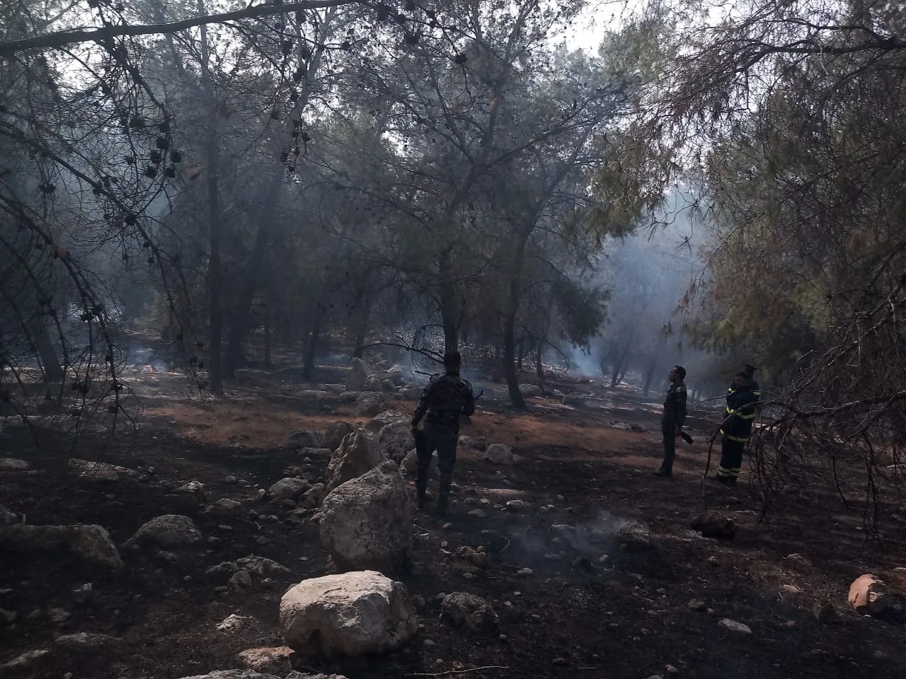 السيطرة على حريقين للأشجار والأعشاب في لواء الكورة
