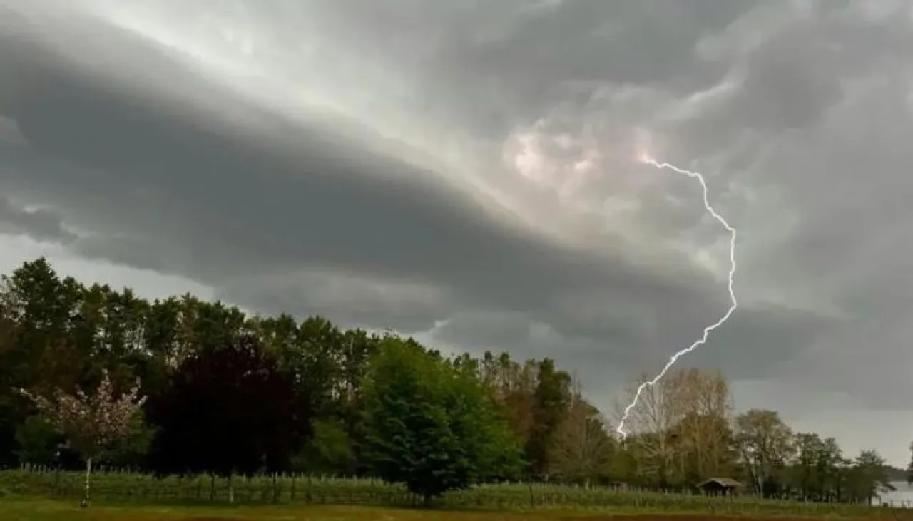 صاعقة برق تضرب حديقة حيوانات في فرنسا وتتسبب في إصابة 13 شخصا