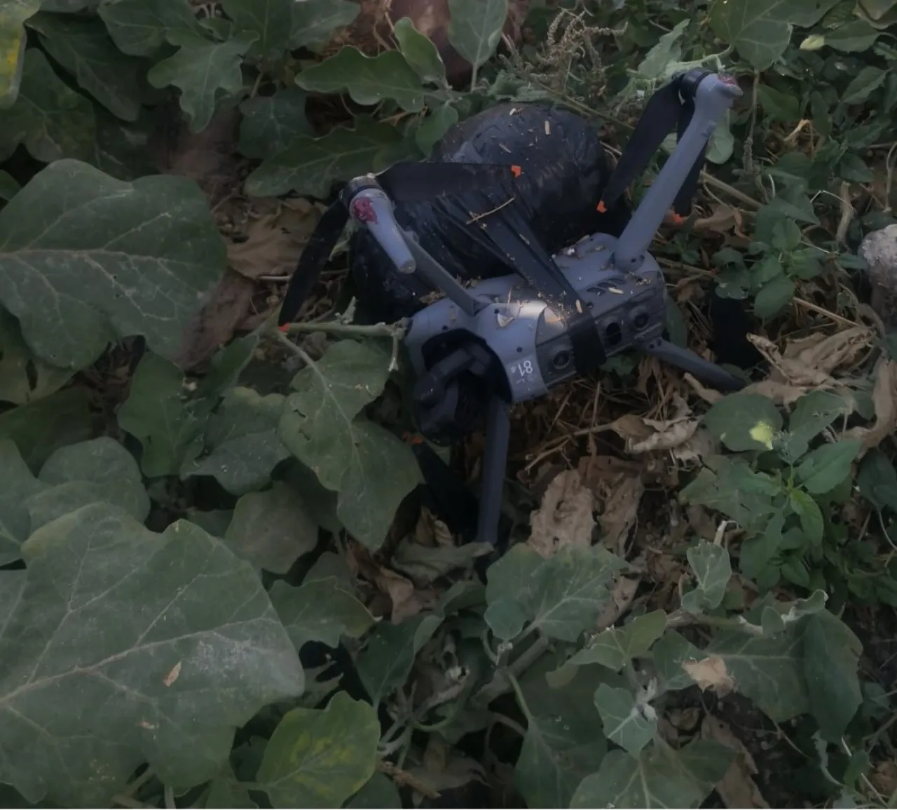 Army thwarts attempt to smuggle drugs via drone