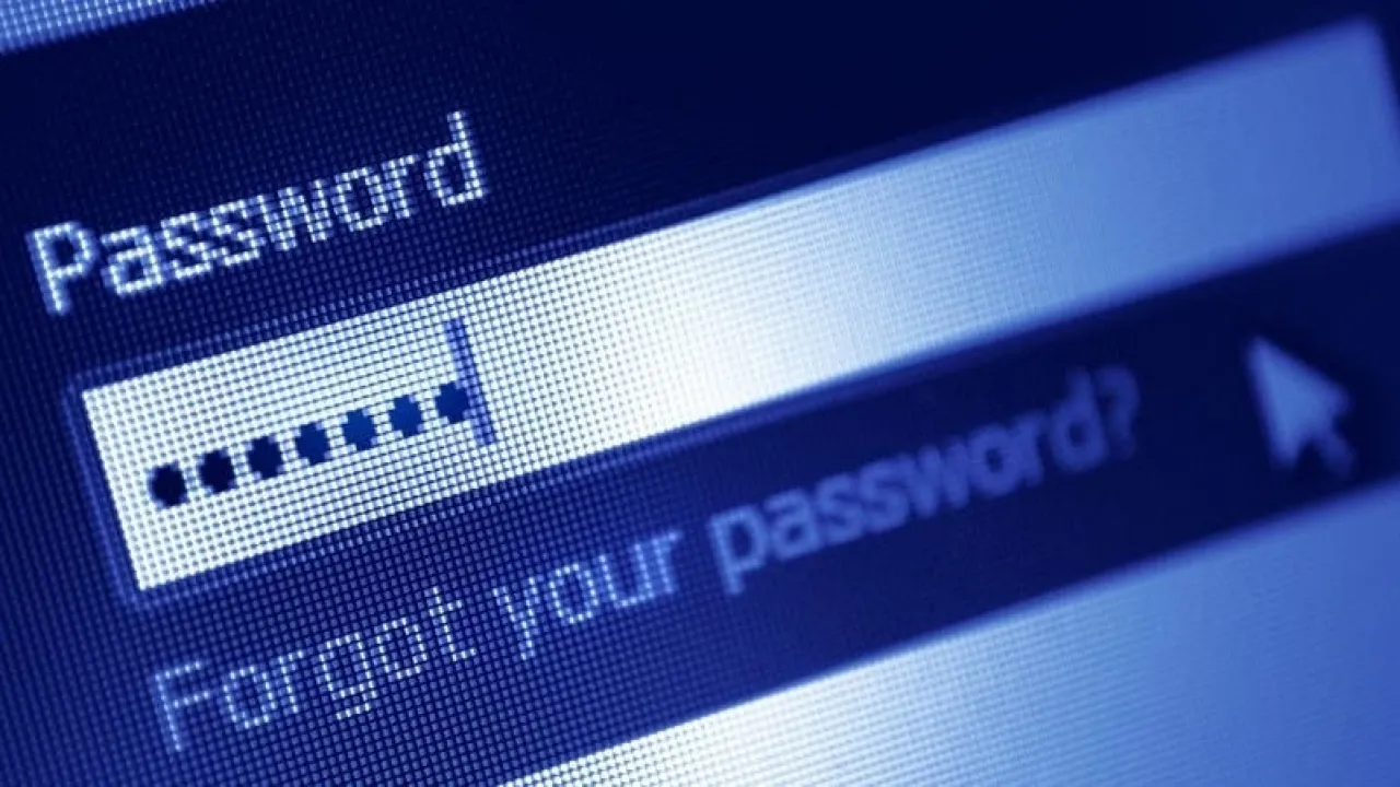 العثور على أكثر من 180 مليون سجل في قاعدة بيانات غير محمية على الإنترنت