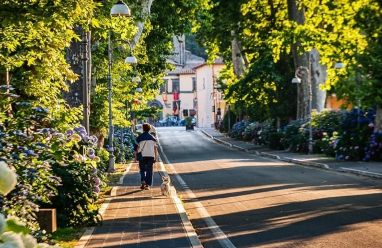 الصباح أم المساء التوقيت الأمثل للمشي لخسارة الوزن بفعالية