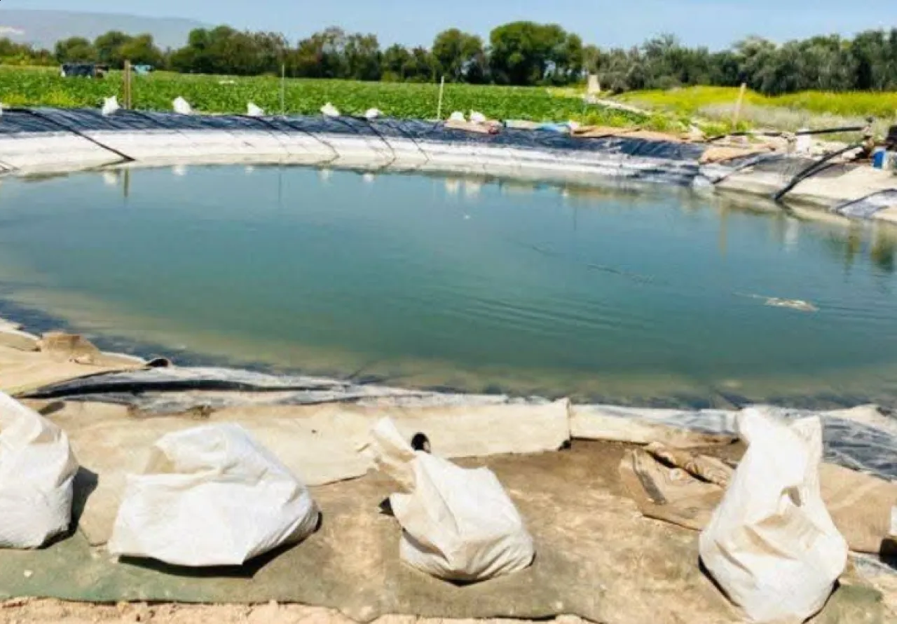 البيئة تدعو مزارعي وادي الأردن للاستفادة من مشروع الطاقة الشمسية