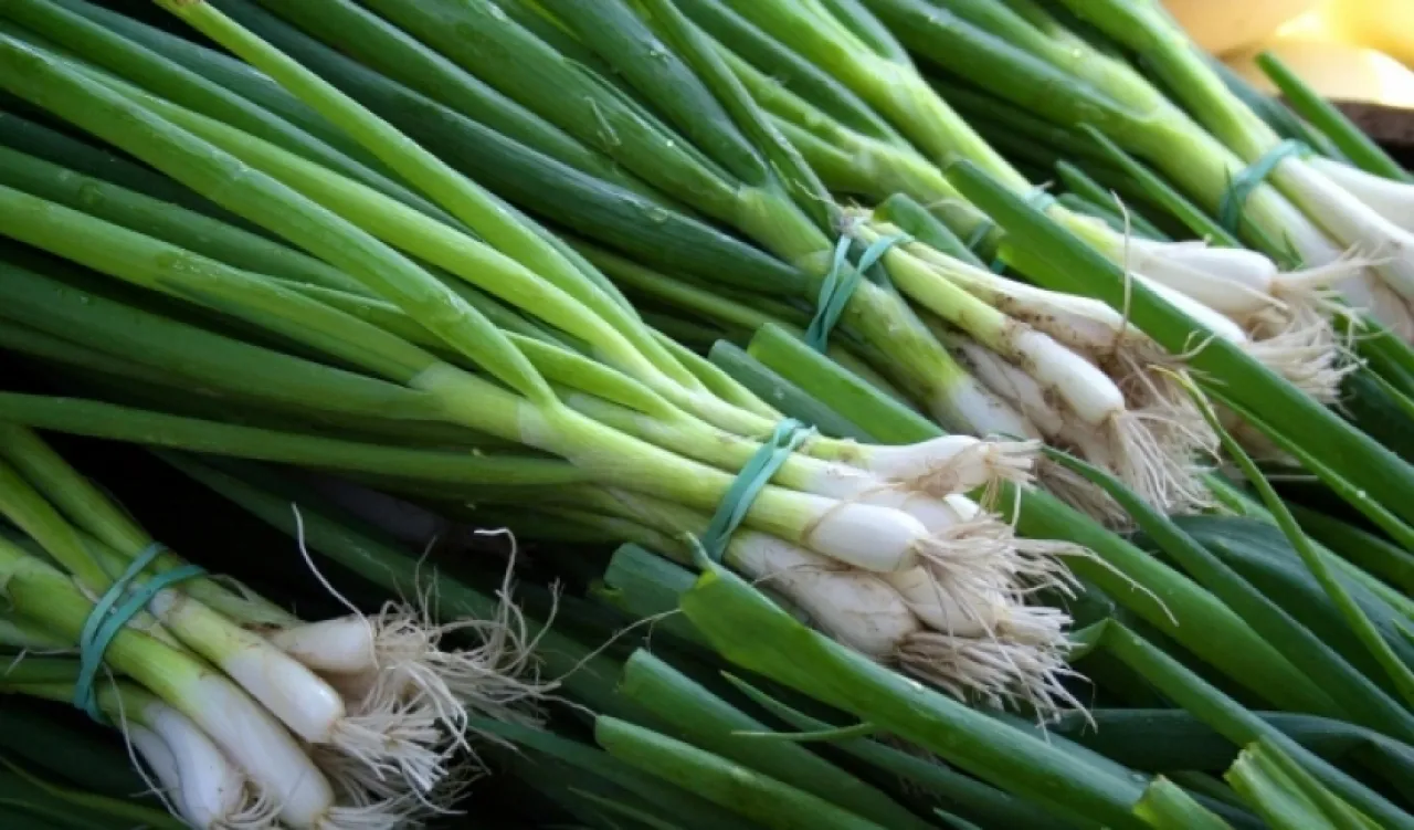 البصل الأخضر 5 فوائد مذهلة وكنز صحي قد لا تعرفه