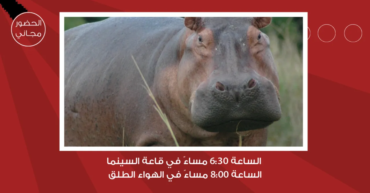 لجنة السينما في مؤسسة عبد الحميد شومان تعرض الفيلم الدومينيكي بيبي