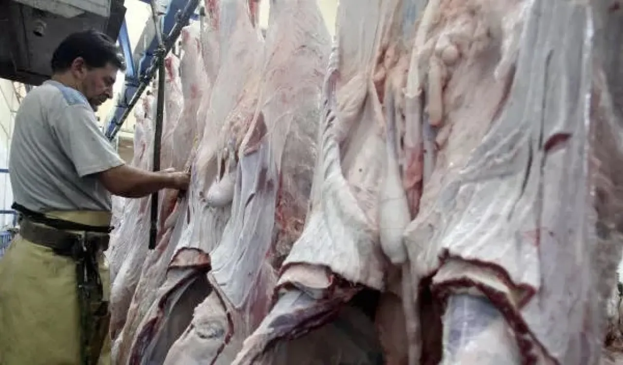 بلدية المفرق تعفي المواطنين من رسوم الدمغة في المسلخ البلدي