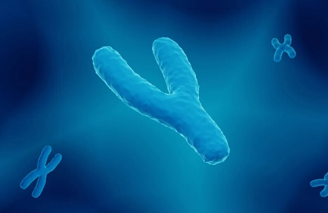 اكتشاف السر وراء خسارة الرجال المعركة ضد السرطان أكثر من النساء