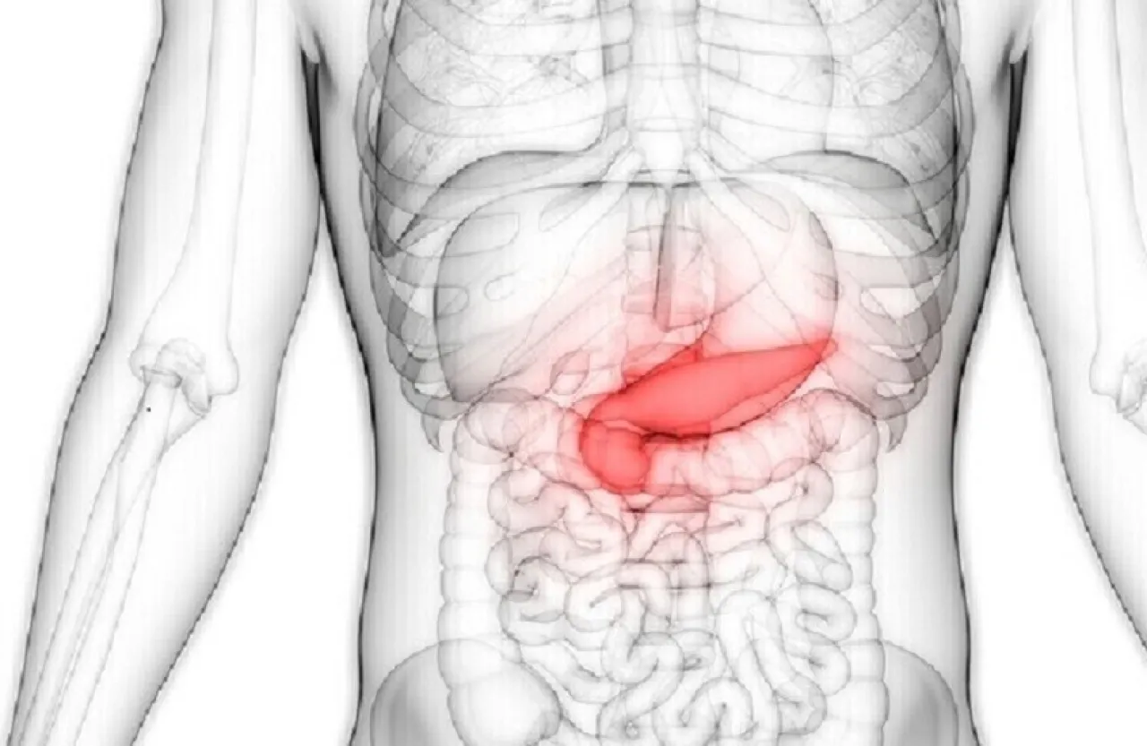 الأعراض الرئيسية لأمراض البنكرياس