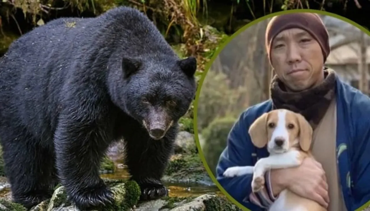 كلب بطل ينقذ صاحبه من فكّ دب مفترس