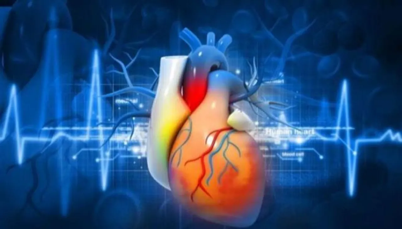 ينتشر بين النساء أعراض متلازمة القلب المكسور