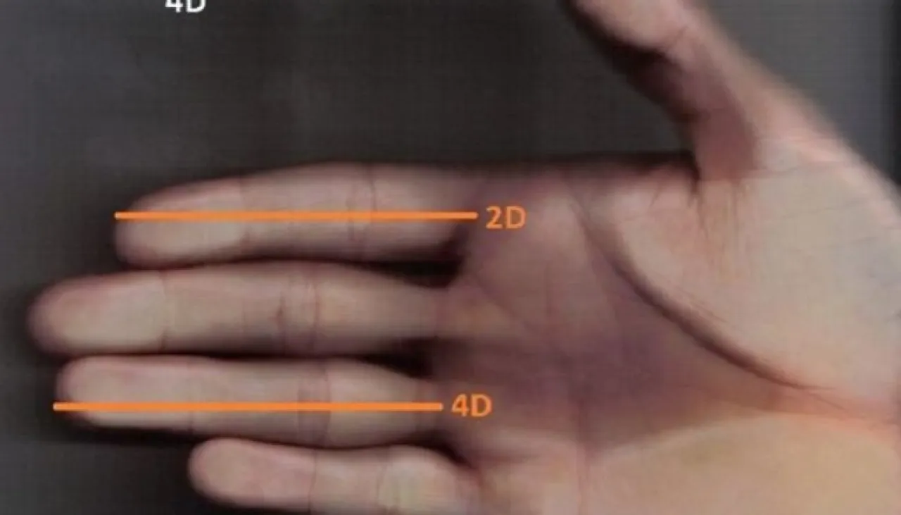 إصبعك قد يكشف مدى قوتك البدنية