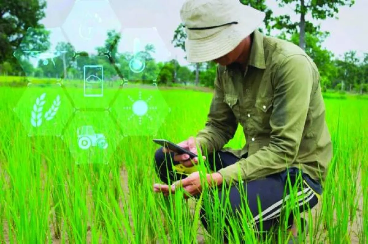 الذكاء الاصطناعي ينتج أمونيا خضراء