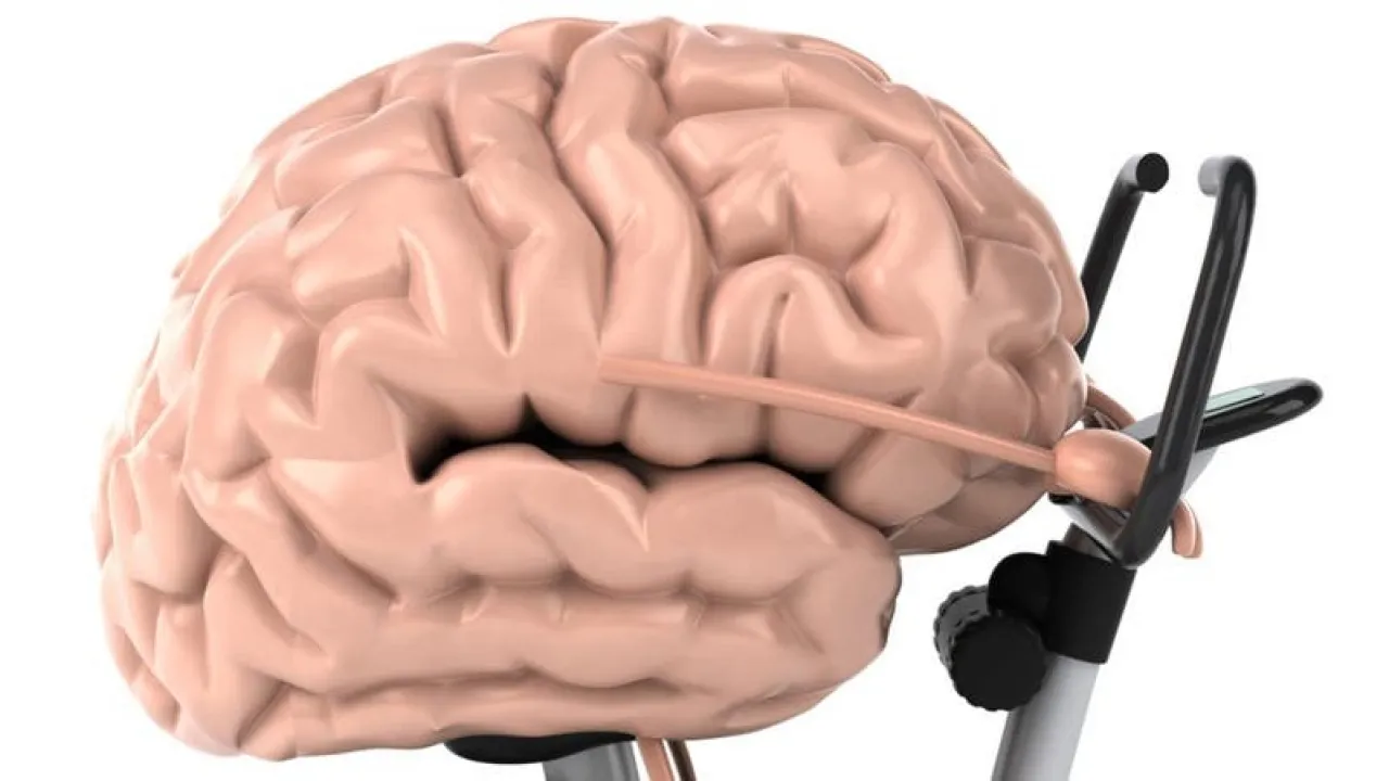 8 تقنيات لزيادة التركيز وتعزيز قوة الدماغ