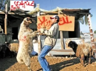 الغذاء والدواء تبدأ رقابتها على الغذاء واللحوم استعدادًا لعيد الأضحى