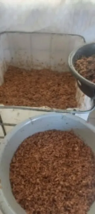 الجمارك تضبط 1500 كيلو معسل داخل شقة تستخدم كمعمل بالزرقاء