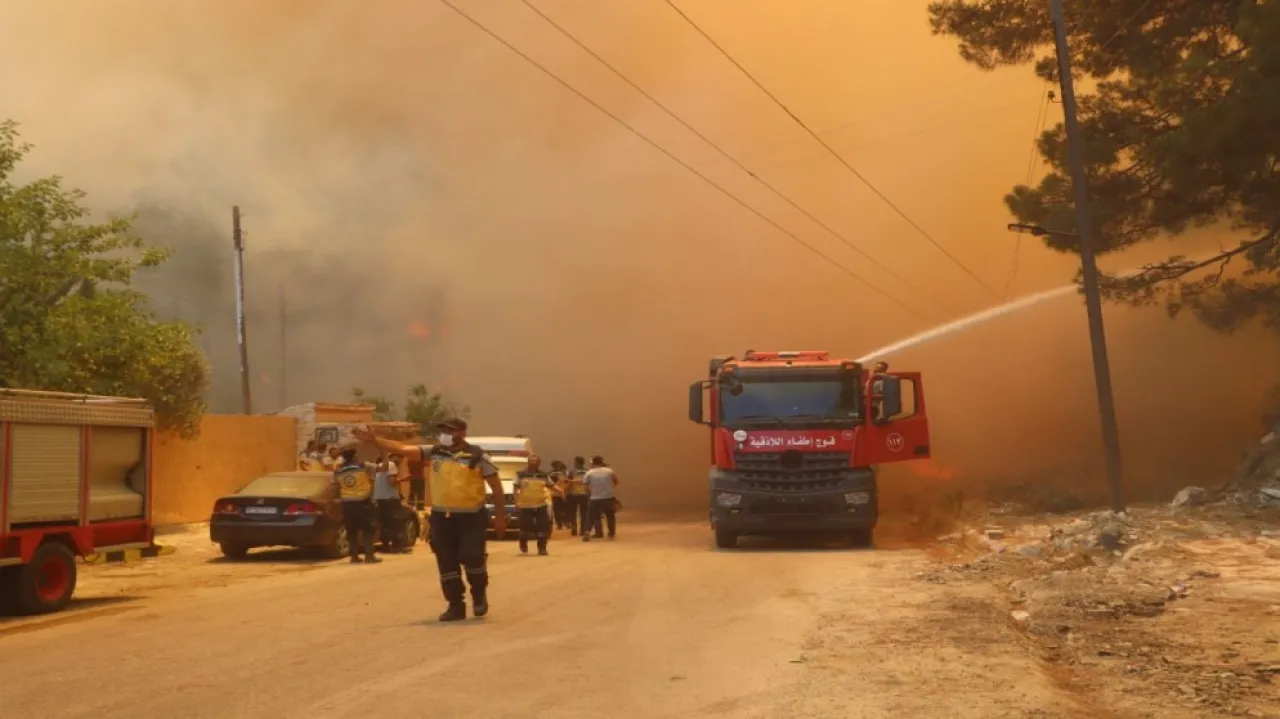 28 موقعا تحولت إلى رماد في ريف اللاذقية نتيجة حرائق غابات عنيفة