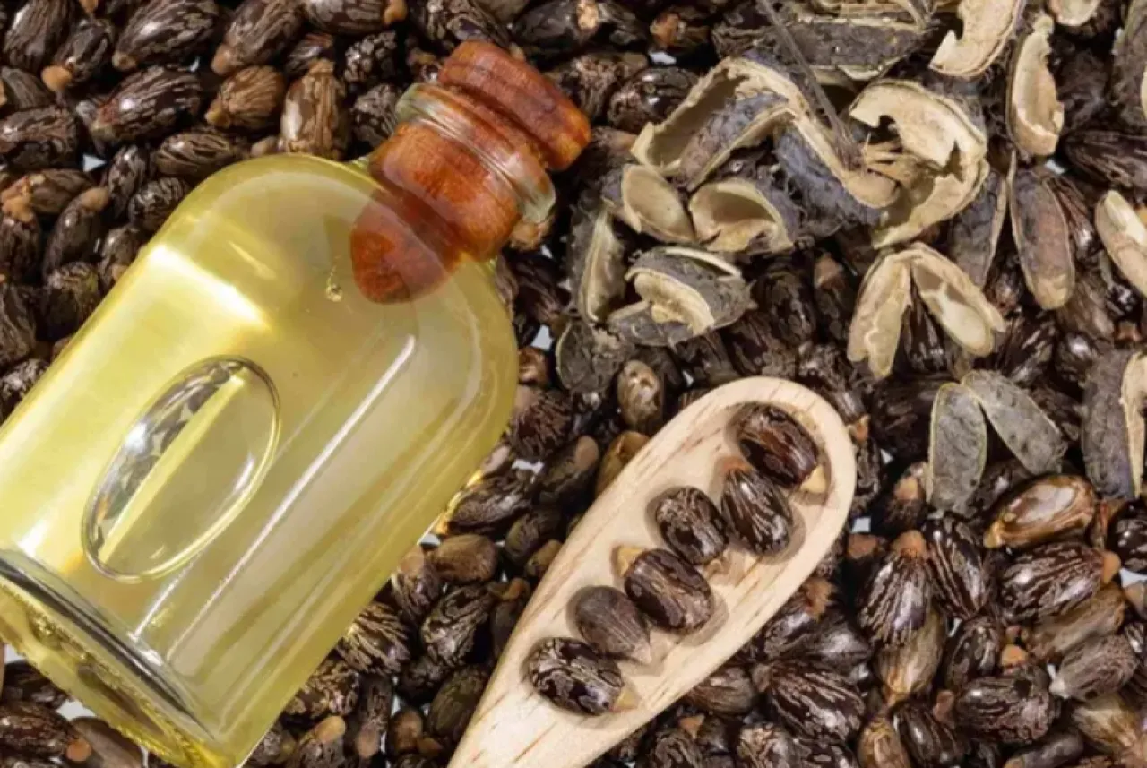 زيت الخروع لماذا يستحق لقب بوتوكس الطبيعة