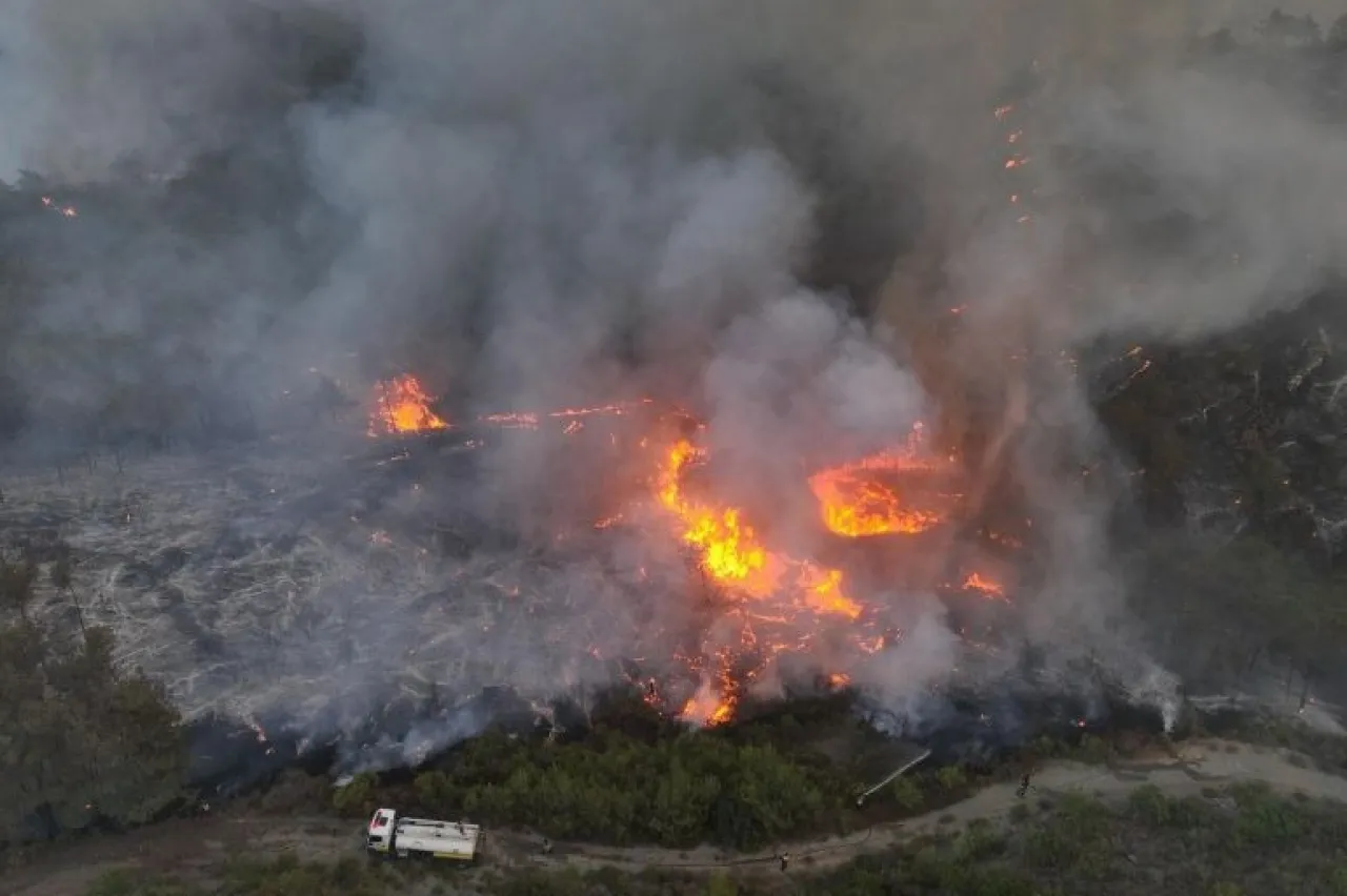 الحرائق تدمر 15 ألف هكتار في اللاذقية وفرق قطرية وعراقية تشارك في الإطفاء