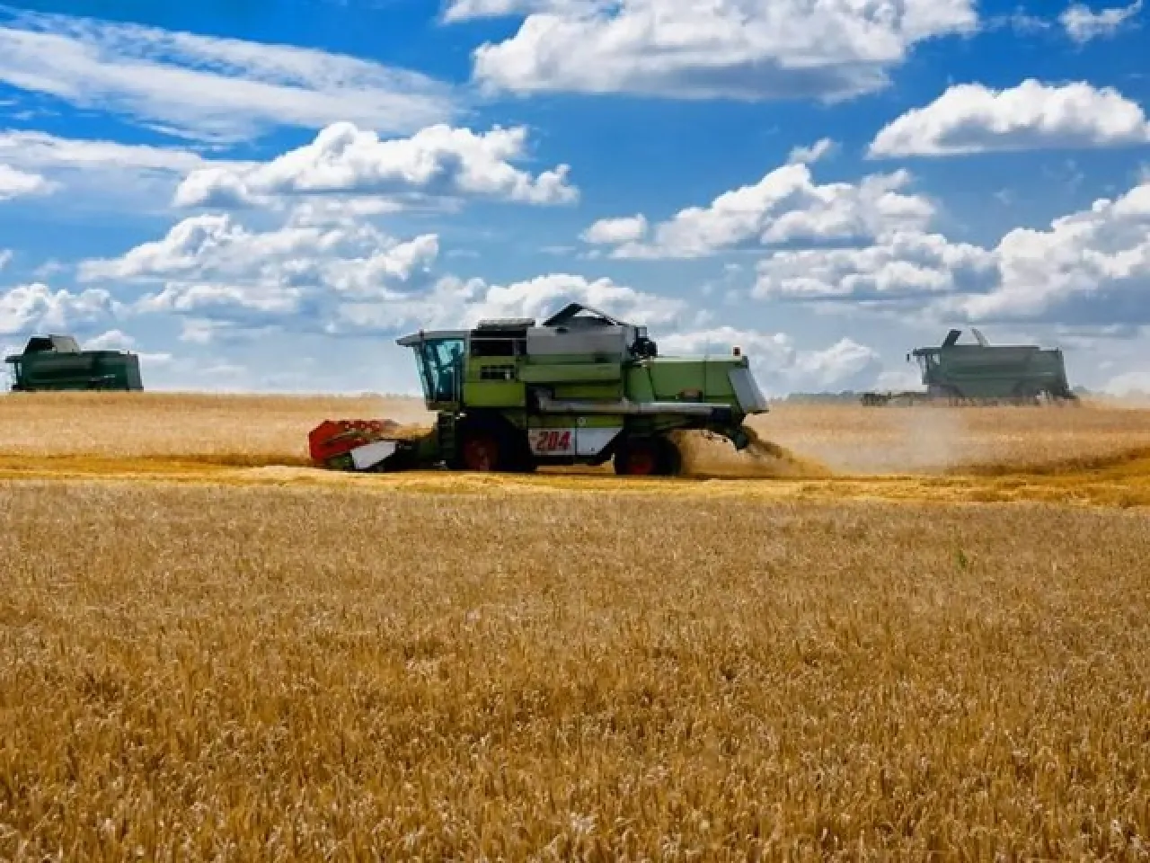 روسيا تقرر عدم تمديد اتفاقية تصدير الحبوب إلى الأسواق العالمية