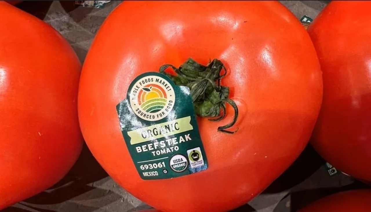 أميركا تعاقب البندورة المكسيكية برسوم بنسبة 17