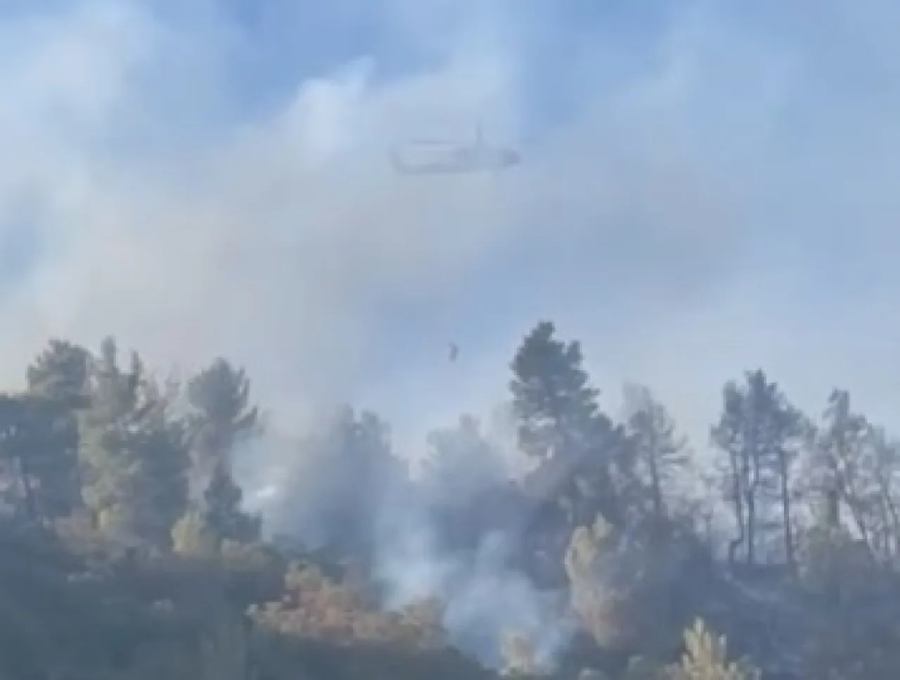 حريق حرجـي في جرش والدفاع المدني يتدخل بإسناد جوي