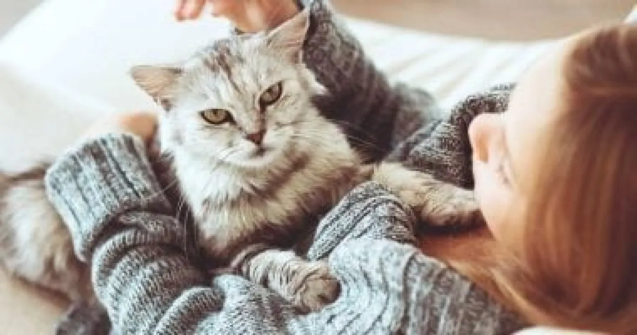 متاعب تربية الحيوانات الأليفة في المنزل