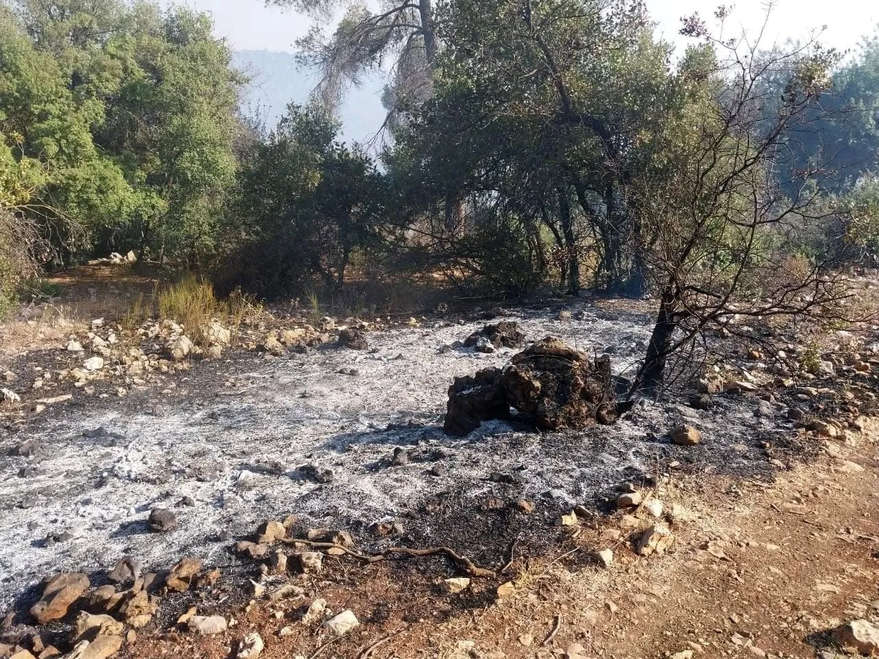 الأردن السيطرة على 90 من حريق ساكب بجرش