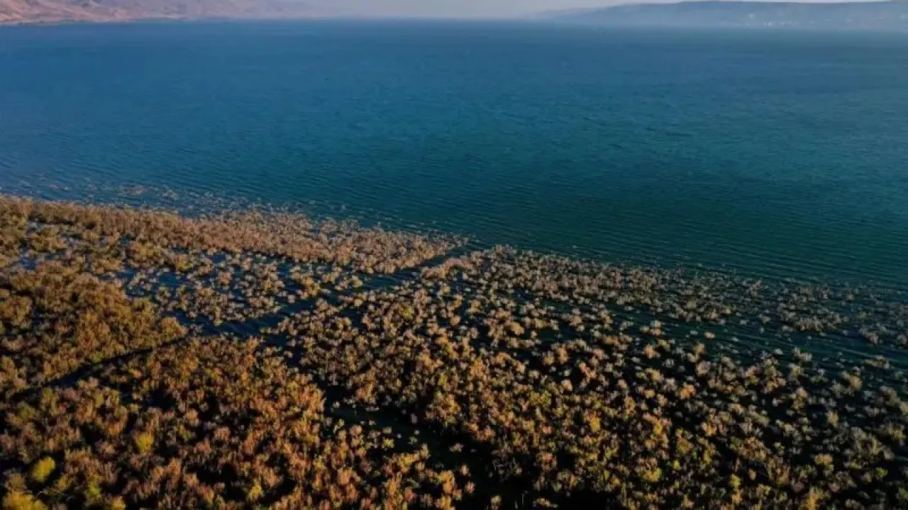 جفاف بحيرة طبريا حين تتداخل تغيّرات المناخ بالنبوءات